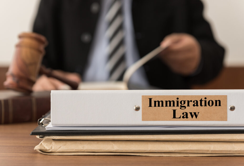 prawnik imigracyjny