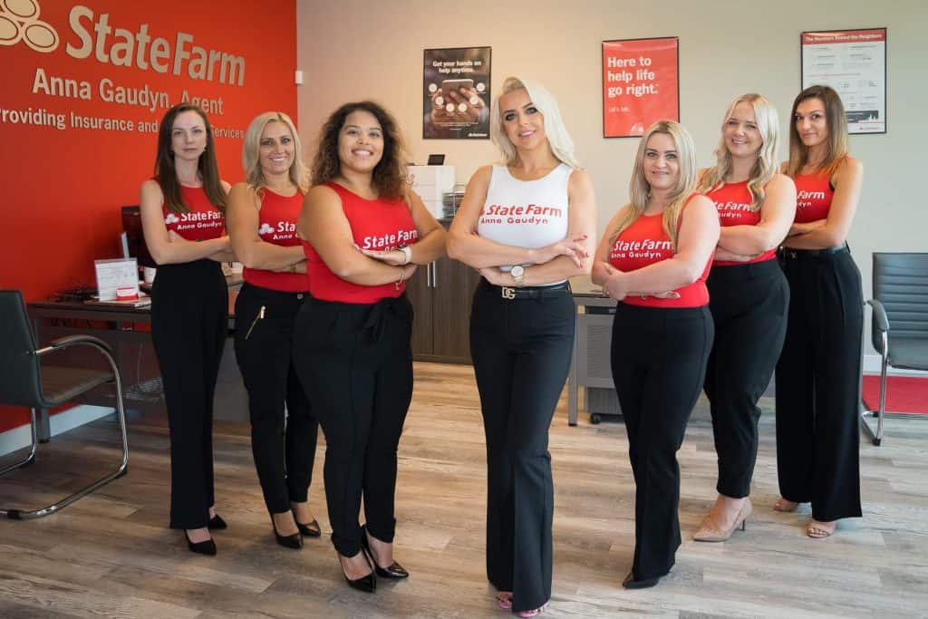 anna gaudyn state farm