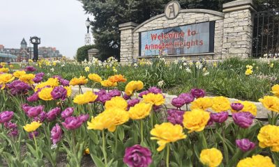 Arlington Heights przedmieścia chicago