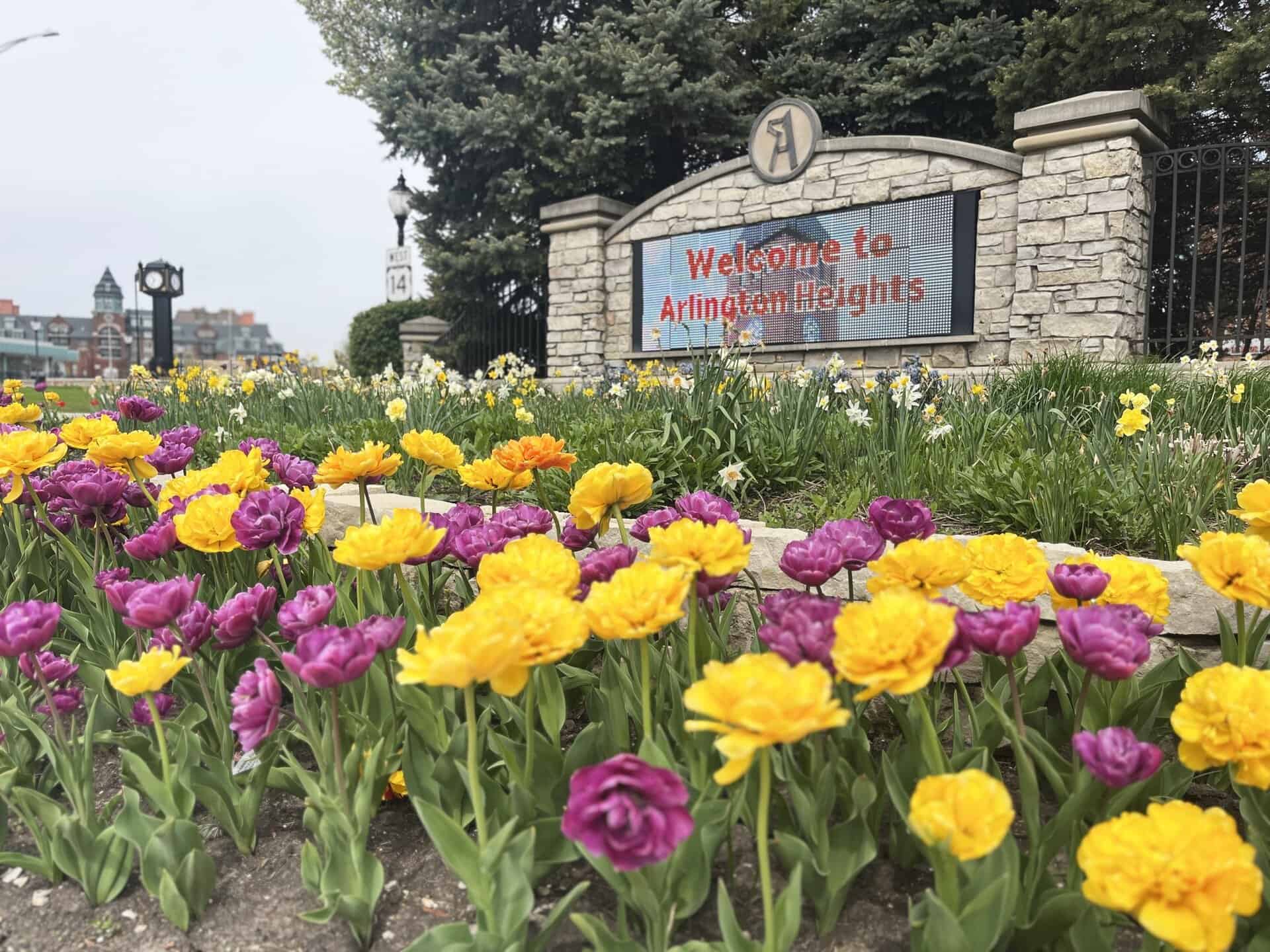 Arlington Heights przedmieścia chicago