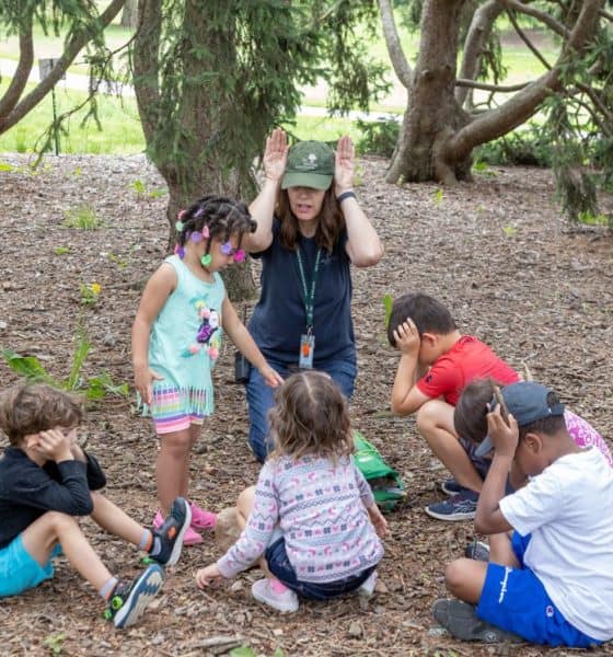Nature Play For All w morton arboretum