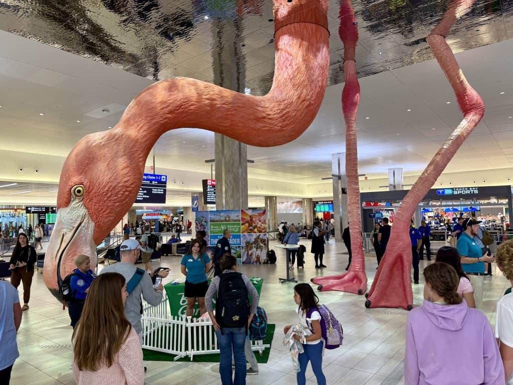 lotnisko tampa na florydzie flaming