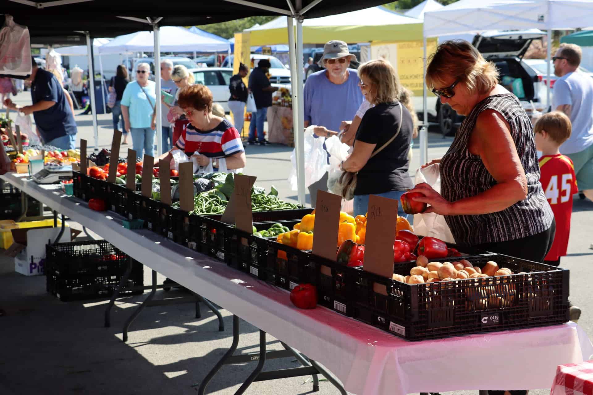 Tinley Park Farmers Market targ rolny chicago