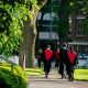 studenci harvard-university