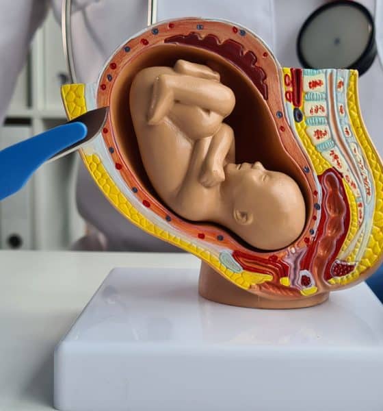 ginekolog pokazuje na czym polega aborcja