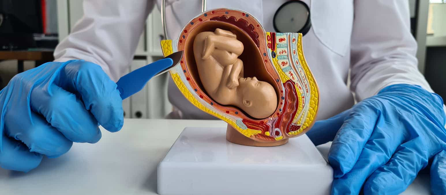 ginekolog pokazuje na czym polega aborcja