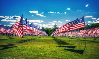 Field-of-Honor-Wheaton