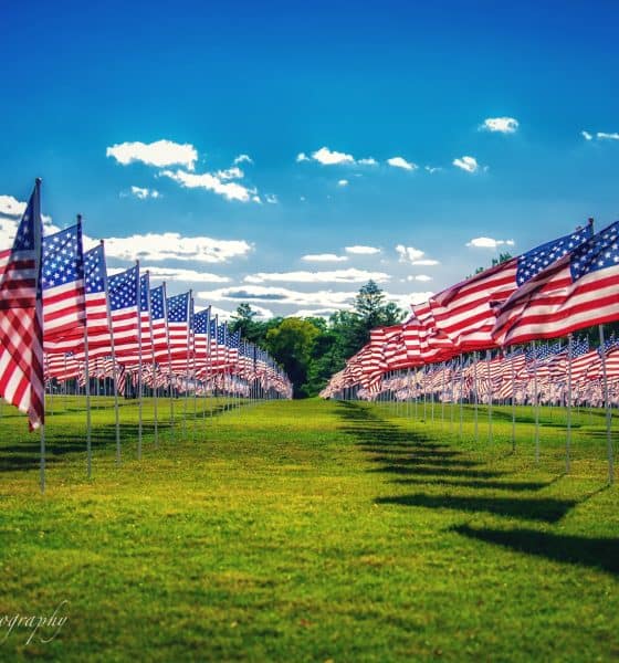 Field-of-Honor-Wheaton