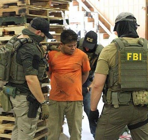 agenci ice aresztują nielegalnego imigranta