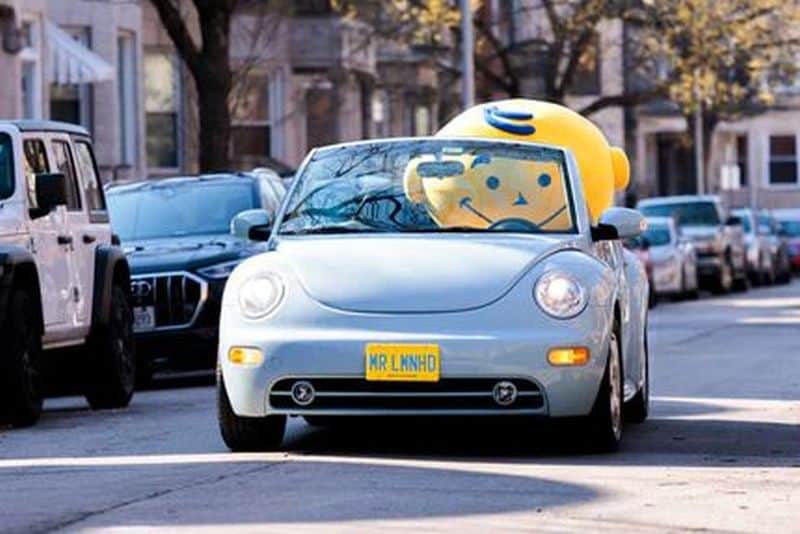 Lemonhead