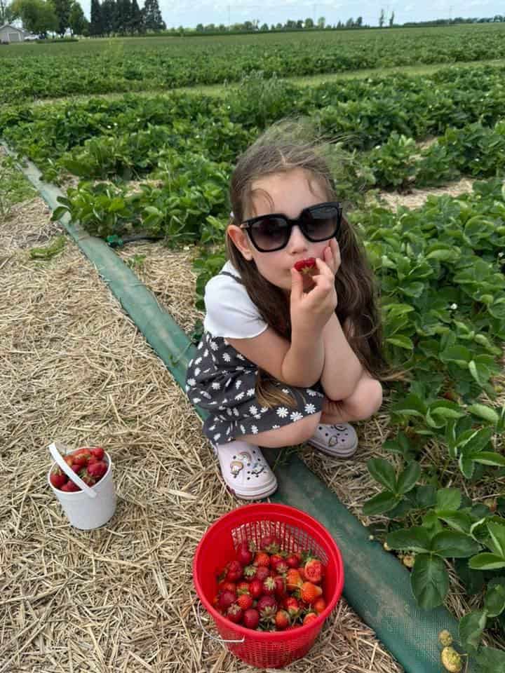 Stade’s Farm & Market