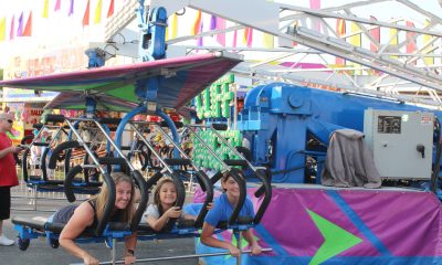 Wauconda Fest