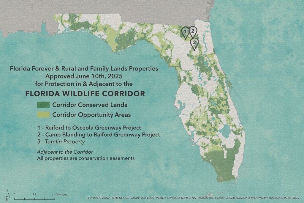 florida-corridor