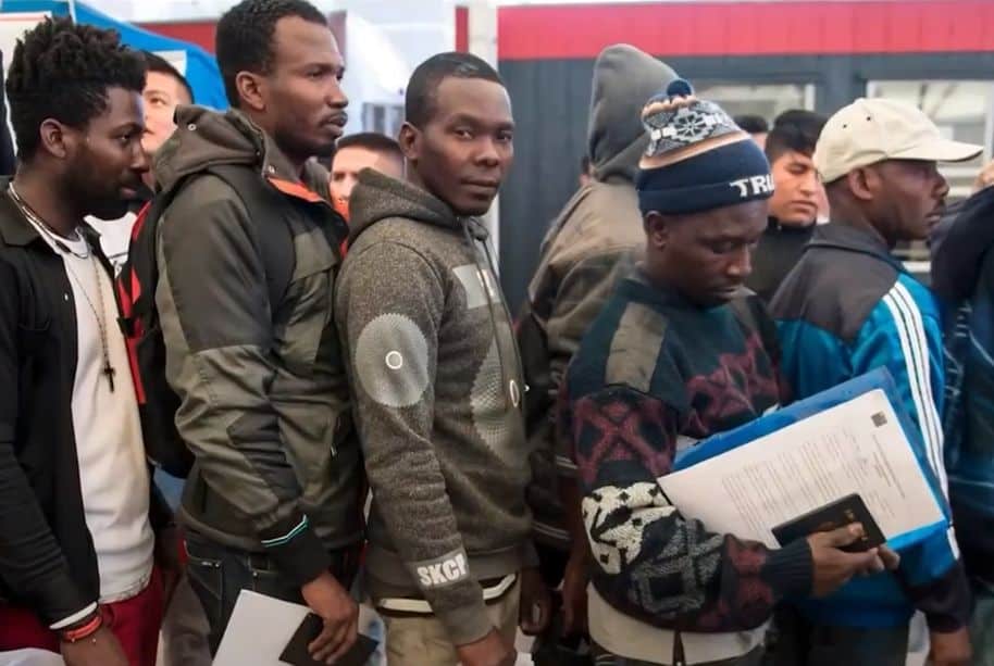 imigranci z haiti
