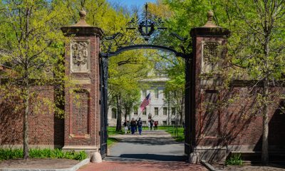 harvard university