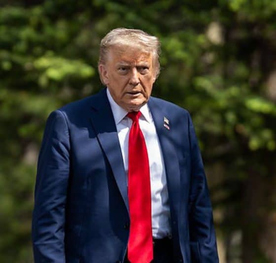 trumpdonald