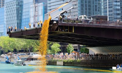 Chicago Ducky Derby