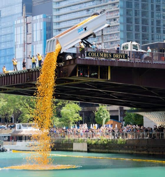Chicago Ducky Derby