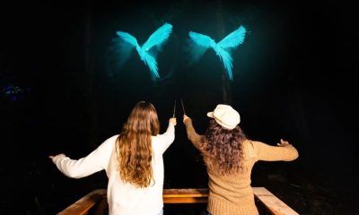 Harry Potter: A Forbidden Forest Experience