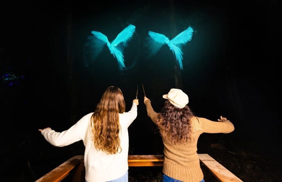 Harry Potter: A Forbidden Forest Experience