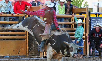 Kane County Fair