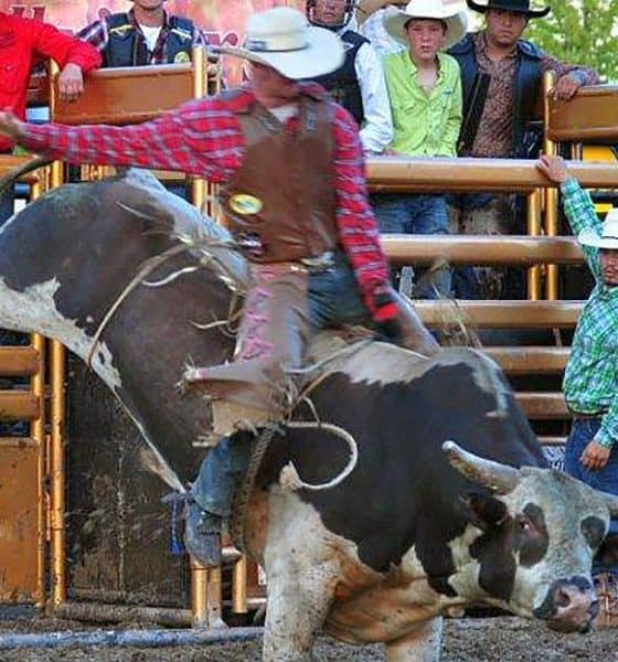 Kane County Fair