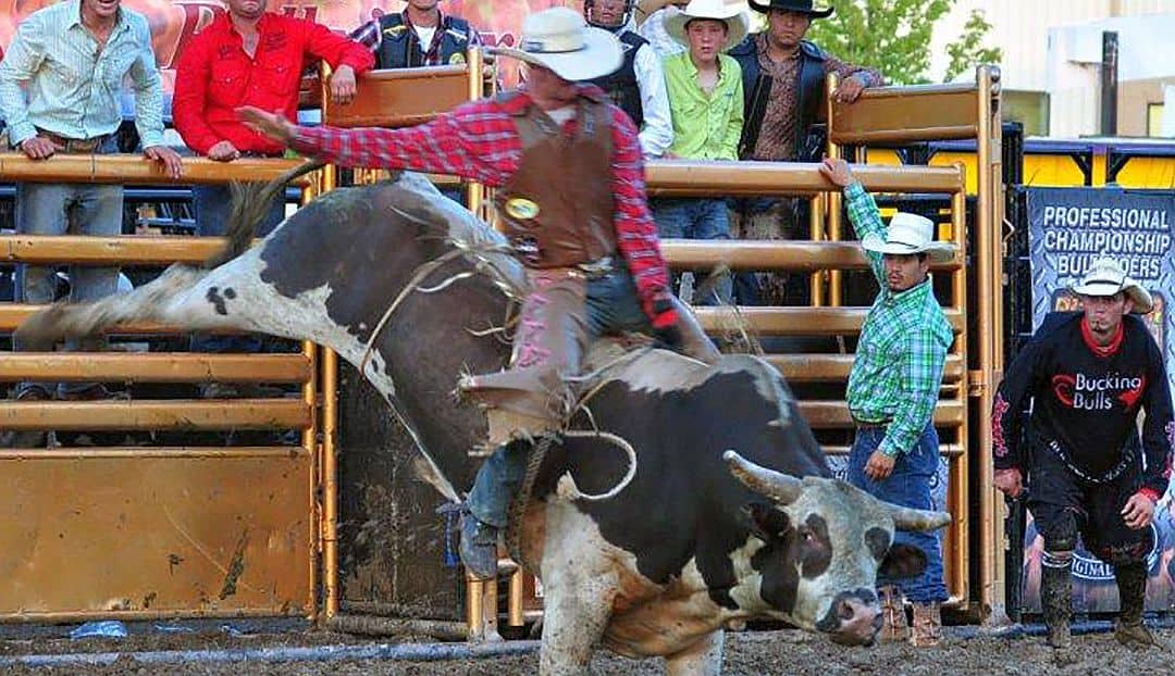 Kane County Fair