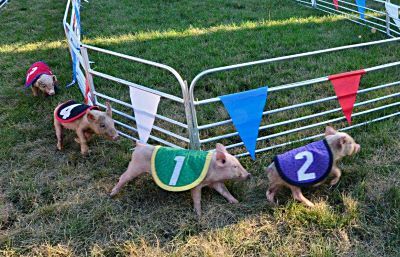 Kane County Fair