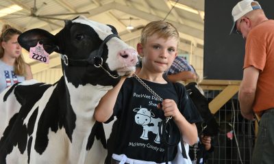 mchenrycountyfair