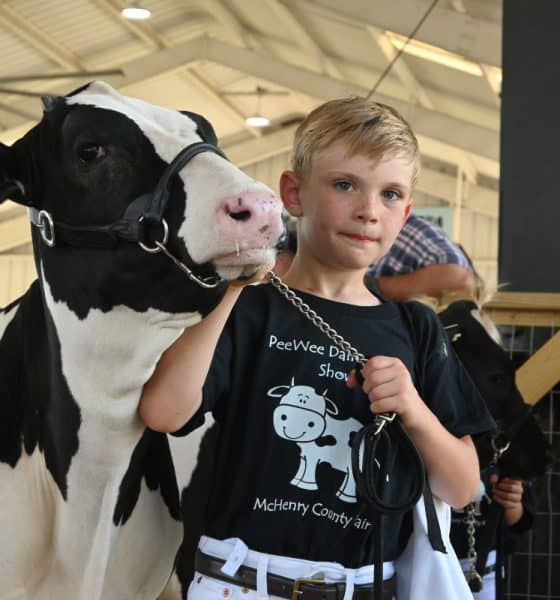 mchenrycountyfair
