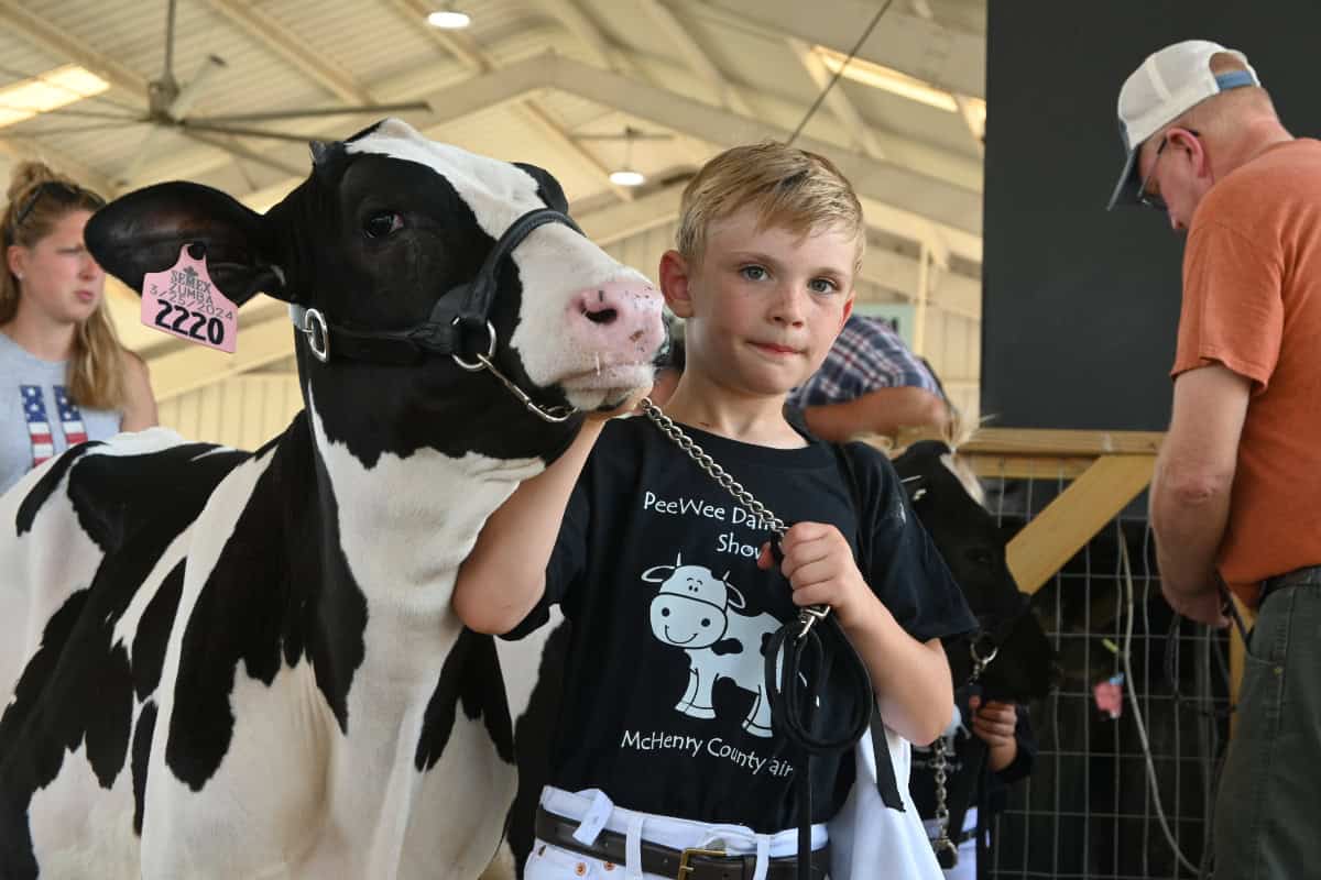 mchenrycountyfair