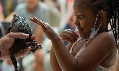 reptiles road show