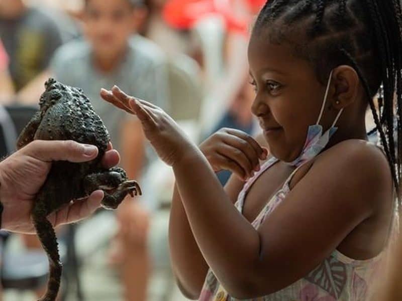 reptiles road show
