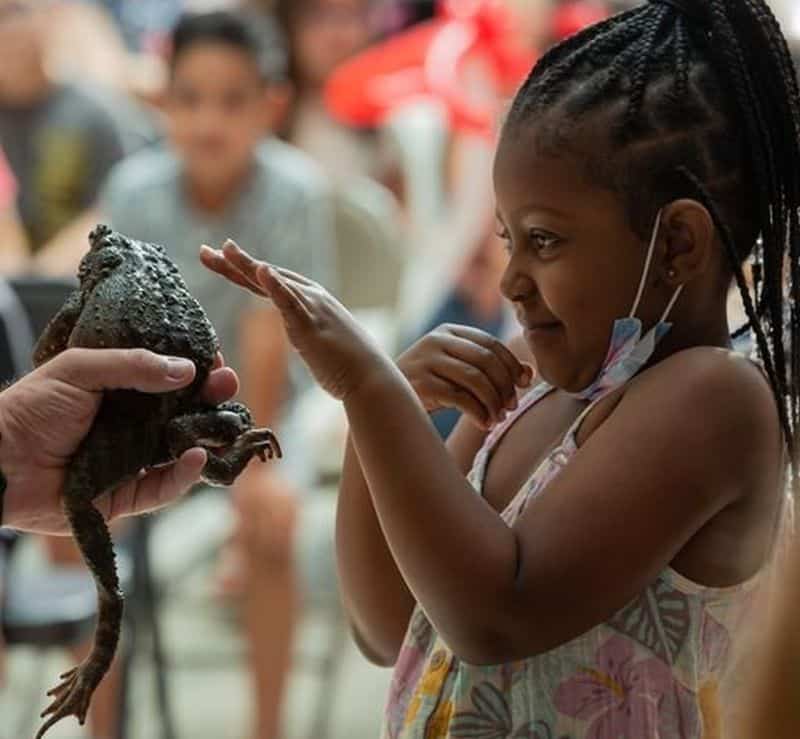 reptiles road show