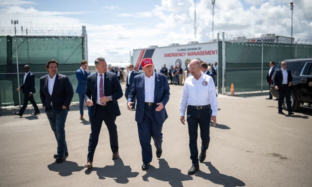trump aligator alcatraz