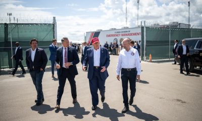 trump aligator alcatraz