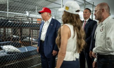 trump-aligator-alcatraz2