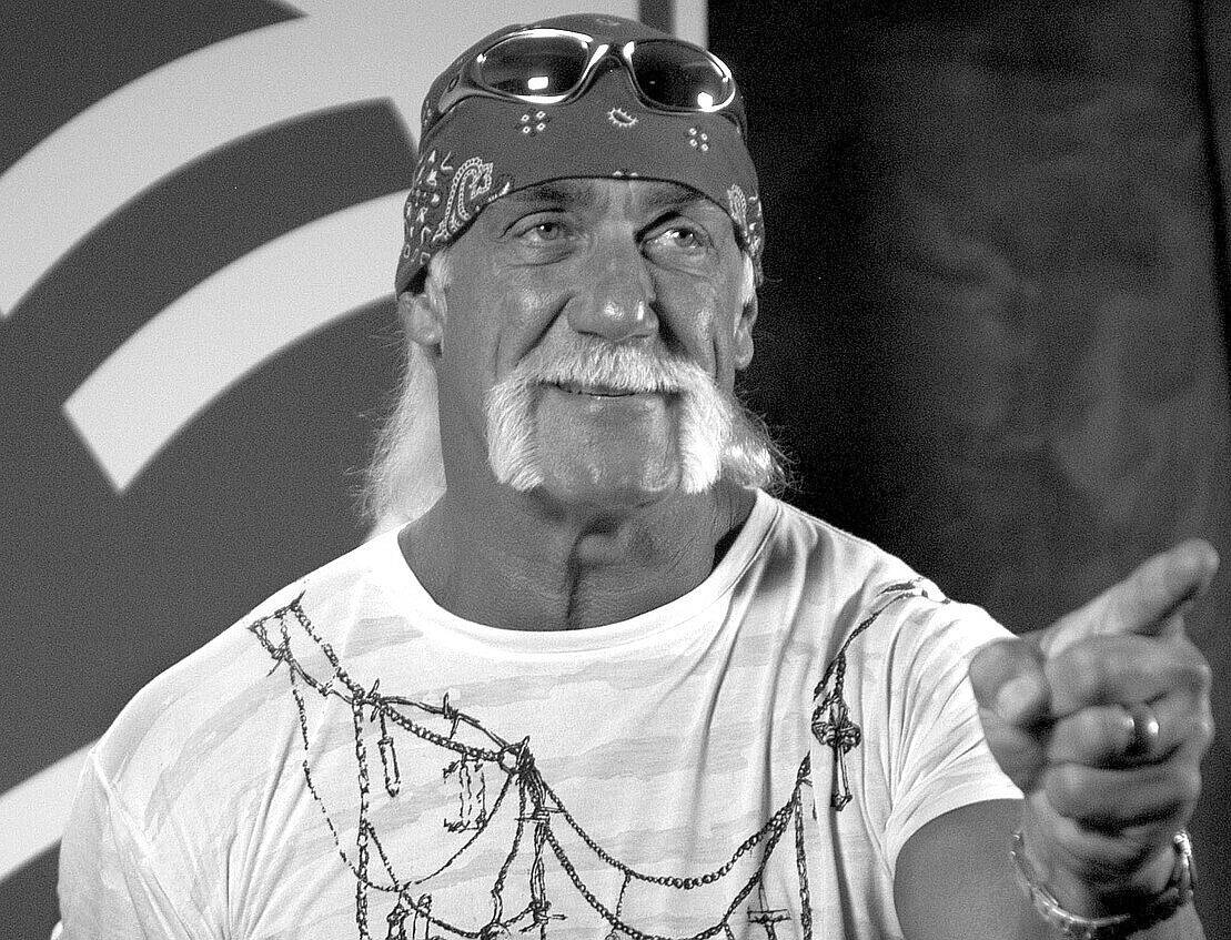 hulk hogan
