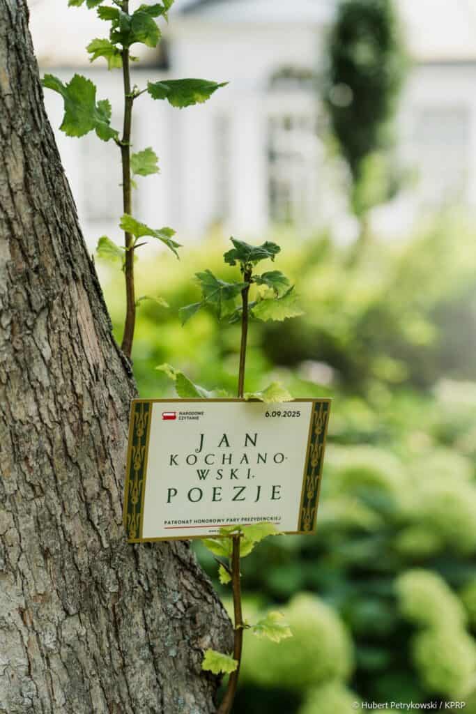 narodowe czytanie