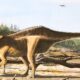 Istiorachis macarthurae