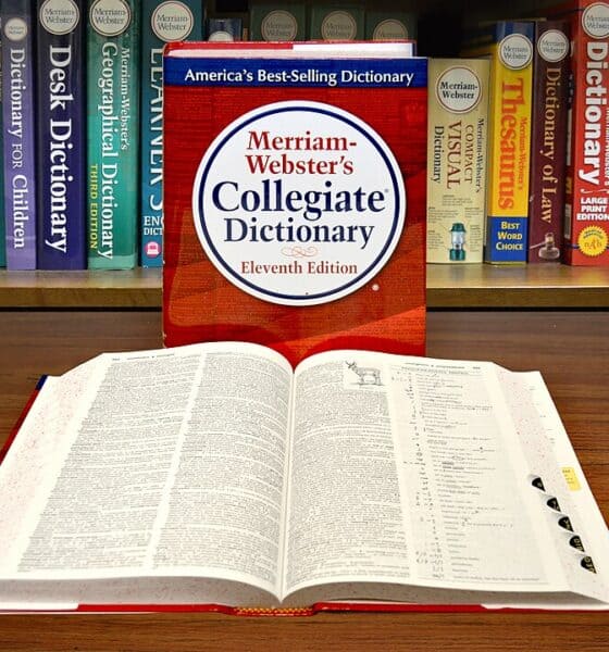 merriam webster słownik