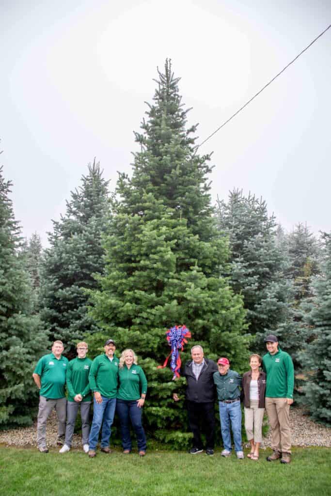 Korson’s Tree Farms