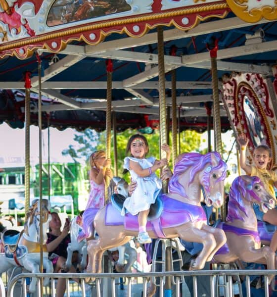 fall fest des plaines