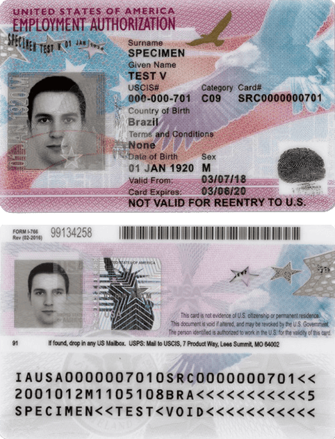  Employment Authorization Document (EAD)