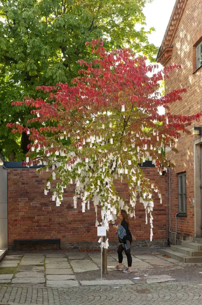 yoko ono wystawa