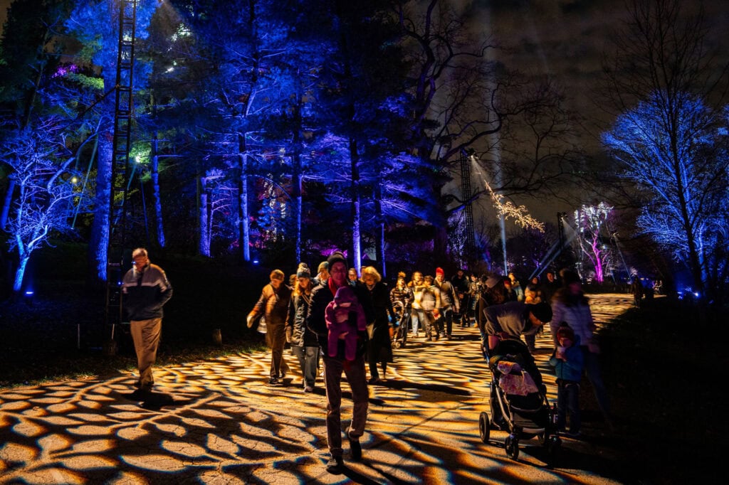 morton arboretum illumination