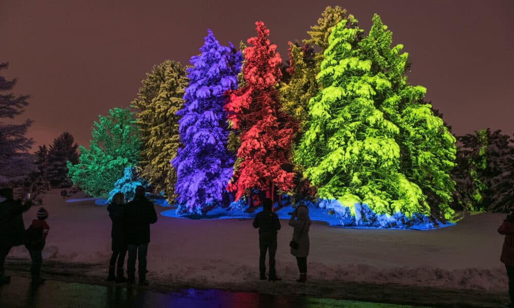 morton arboretum illumination