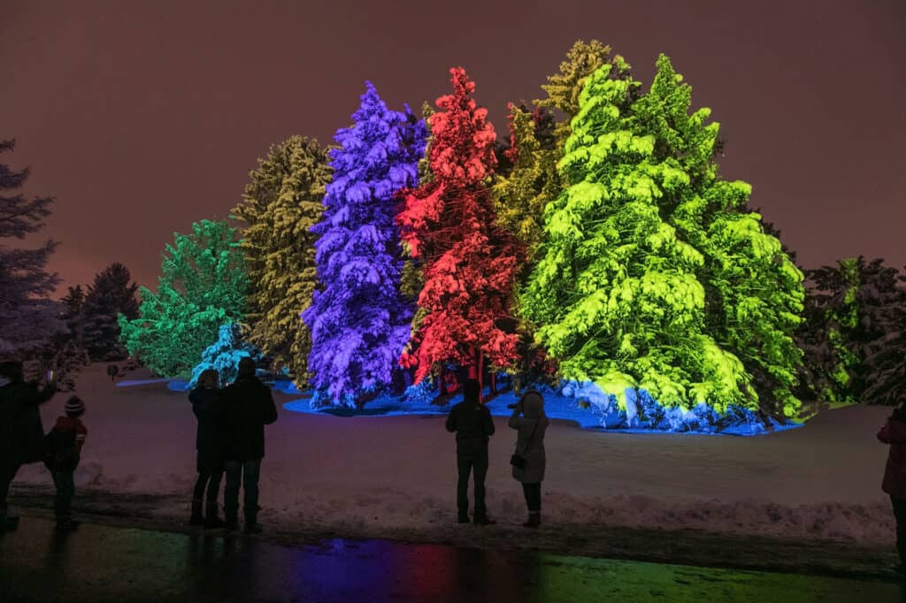 morton arboretum illumination