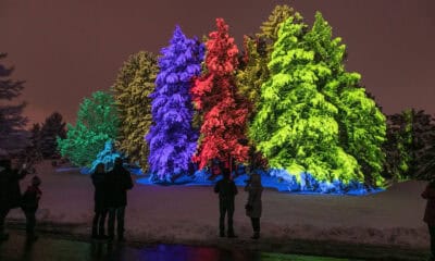 morton arboretum illumination