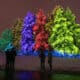 morton arboretum illumination